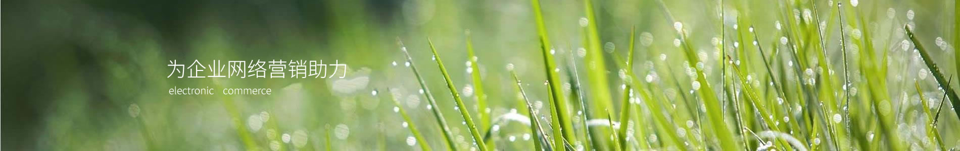 еҵ޹˾